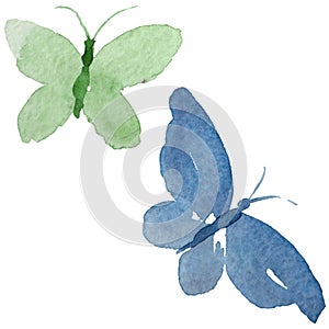 Watercolor butterfly tender insect, intresting moth, isolated wing illustration