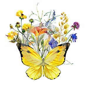 Watercolor butterfly, wild flowers bouquet on white background