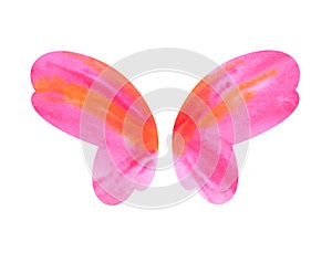 Watercolor butterfly wings
