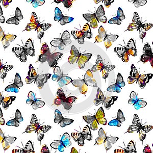 Watercolor butterflyes on the white background.es