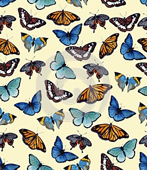 Watercolor butterflyes on the white background.es