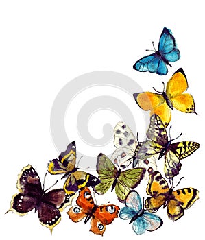 Watercolor butterflyes on the white background.es