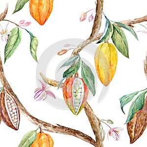 Watercolor cacao pattern photo