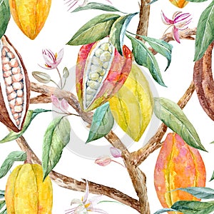 Watercolor cacao pattern photo