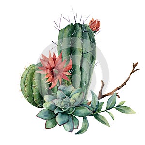 Watercolor cactus bouquet with eucalyptus leaves. Hand painted cereus, red flower, green succulent, feather and branch