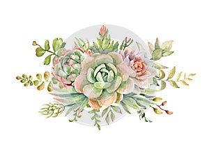 Watercolor cactus cacti and succulents bouquet.