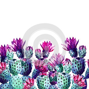 Watercolor cactus photo