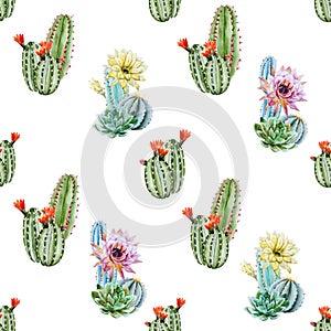 Watercolor cactus pattern photo