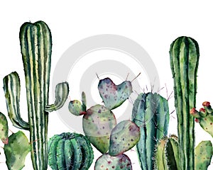 Watercolor cactus pattern. Hand drawn seamless ornament with desert plants isolated on white background. Flowering cacti