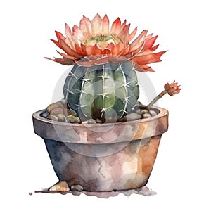 Watercolor cactus in a pot. Hand drawn illustration isolated on white background. AI Generated