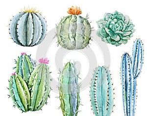 Watercolor cactus set