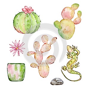 Watercolor cactus set, desert mexican plants