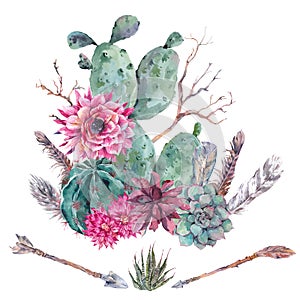 Watercolor cactus, succulent, flowers