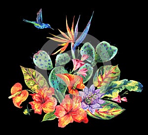 Watercolor Cactus, tropical flowers, hummingbird
