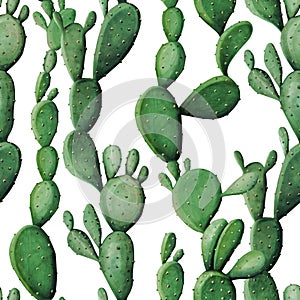 Watercolor cactus tropical garden seamless pattern.