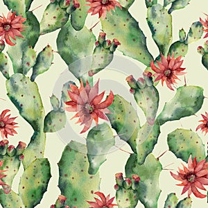 Watercolor cactuses and flowers seamless patttern. Hand painted opuntia isolated on white background. Illustration for