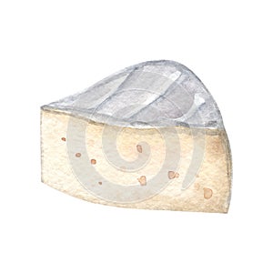 Watercolor camembert piece cheese isolated on white . Hand drawn brie slice illustration