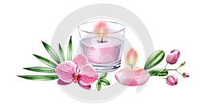 Watercolor candles with tropical flowers. Pink orchid and palm leaves. Spa and cosmetic products isolated on white