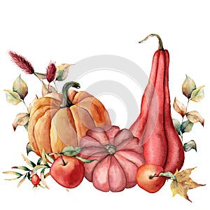 Watercolor card with autumn harvest. Hand painted pumpkins, apples, dogroses with leaves and branches isolated on white