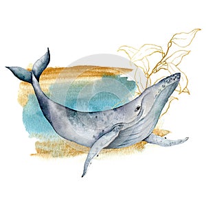 Watercolor card with blue whale and line art laminaria. Hand painted underwater composition isolated on white background