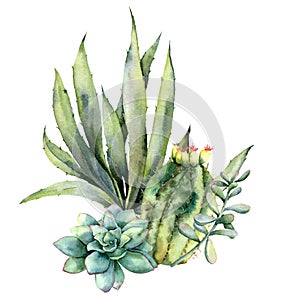 Watercolor card with bouquet of cacti. Hand painted agave, succulent, echinocactus grusonii and cereus isolated on white