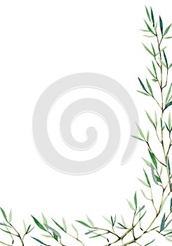 Watercolor card with branches and leaves isolated on white background inspired by garden greenery and plants. Botanic composition