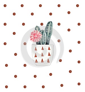 Watercolor card with cactus in decorative flowerpot