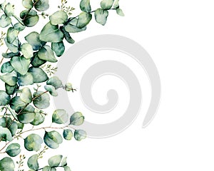 Watercolor card with eucalyptus bouquet. Hand painted eucalyptus branches and leaves isolated on white background