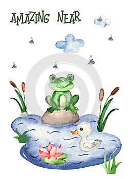 Watercolor card with a frog in the pond