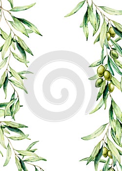 Watercolor card with olive tree branch, leaves and green olives. Hand painted floral illustration isolated on white