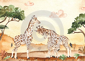 Watercolor card with savanna landscape at sunset and giraffe family, mom, dad, kid