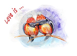 Watercolor card with two enamored birds on a branch