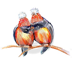 Watercolor card with two enamored birds on a branch