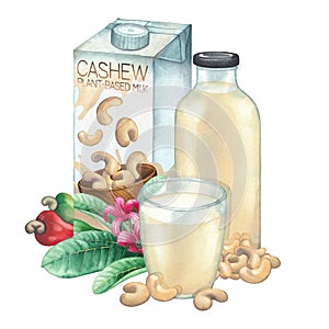 Watercolor carton of plant based milk decorated with glass, bottle, cashew nuts and plants