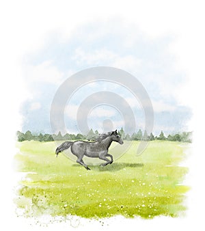 Watercolor cartoon black beauty horse run on green grass meadow