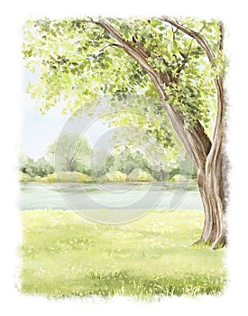 Watercolor cartoon composition with spring green landscape with trees, river and grass