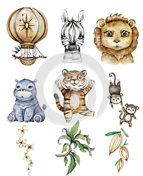 Watercolor cartoon cute baby zebra, lion, tiger, monkey and hippo safari animal with tropical frame background. Hot air