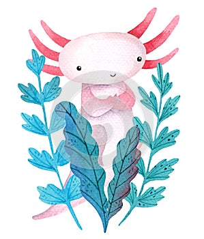 Watercolor cartoon cute posing Axolotl with waterplant
