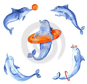 Watercolor cartoon five blue playful dolphins