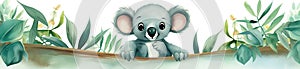 Watercolor cartoon koala tropical animal illustration