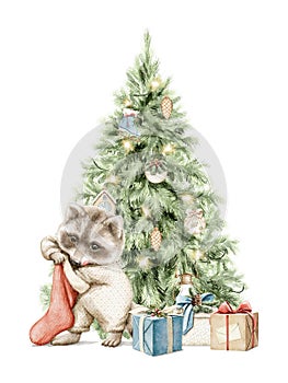 Watercolor cartoon little raccoon look in Christmas sock, gift box and Christmas tree