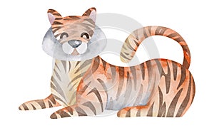 Watercolor cartoon tiger. African predatory animal of the savannah. Watercolor illustration of an animal.