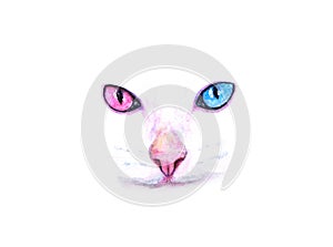 Watercolor cat face two-color eyes portrait on white background