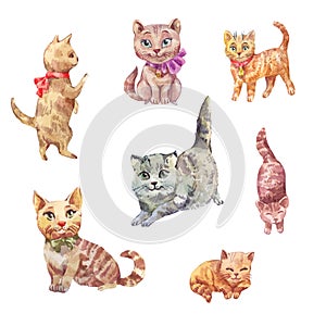 Watercolor cats. Cute pets illustration.