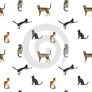 Watercolor cats pattern on white background
