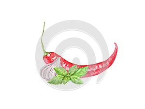 Watercolor cayenne pepper, garlic and basil leaf isolated on white background. r