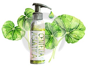 Watercolor centella asiatica cosmetic bottle