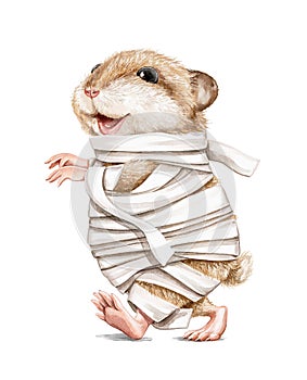 Watercolor character funny hamster in halloween mummy costume goes wrapped in bandages