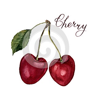 Watercolor cherries with leaf and lettering Cherry. Hand drawn food illustration on white background. For design