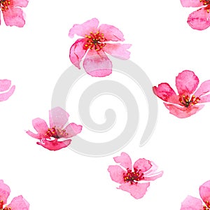 Watercolor cherry blossom flower seamless pattern. Sakura beautiful spring floral template. Colorful illustration isolated on